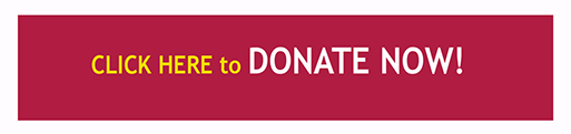 Donate